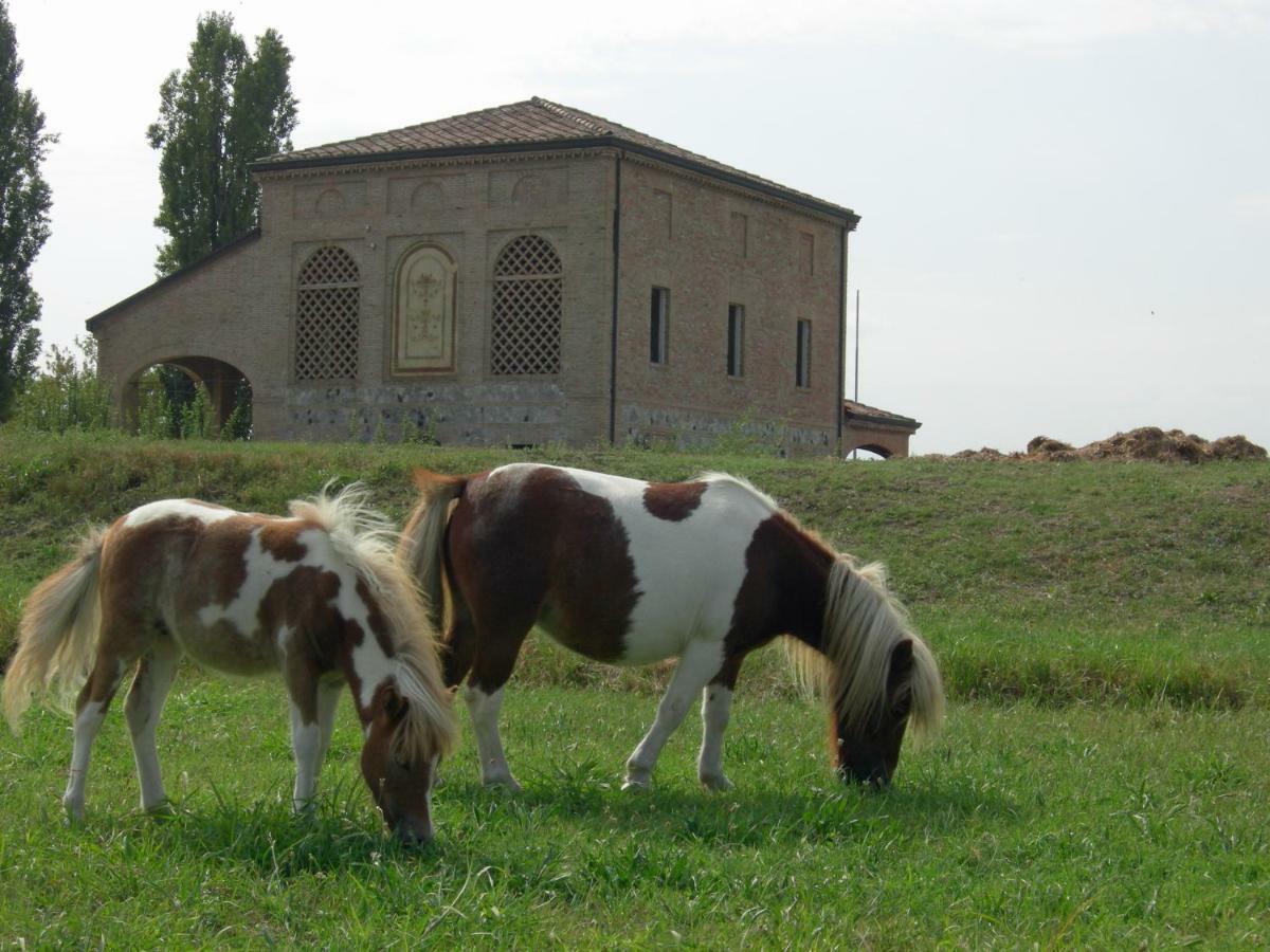 Agriturismo Corte Ghiara Hotel Fontanellato Zewnętrze zdjęcie
